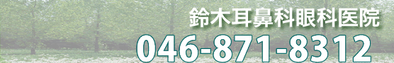 鈴木耳鼻科眼科医院TOP2